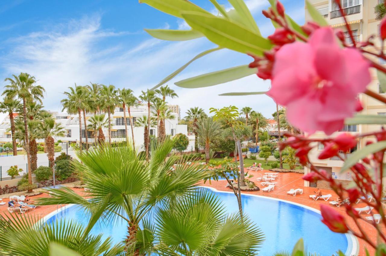 Studio Eldorado In Playa De Las Americas Near The Beach อาโรนา ภายนอก รูปภาพ
